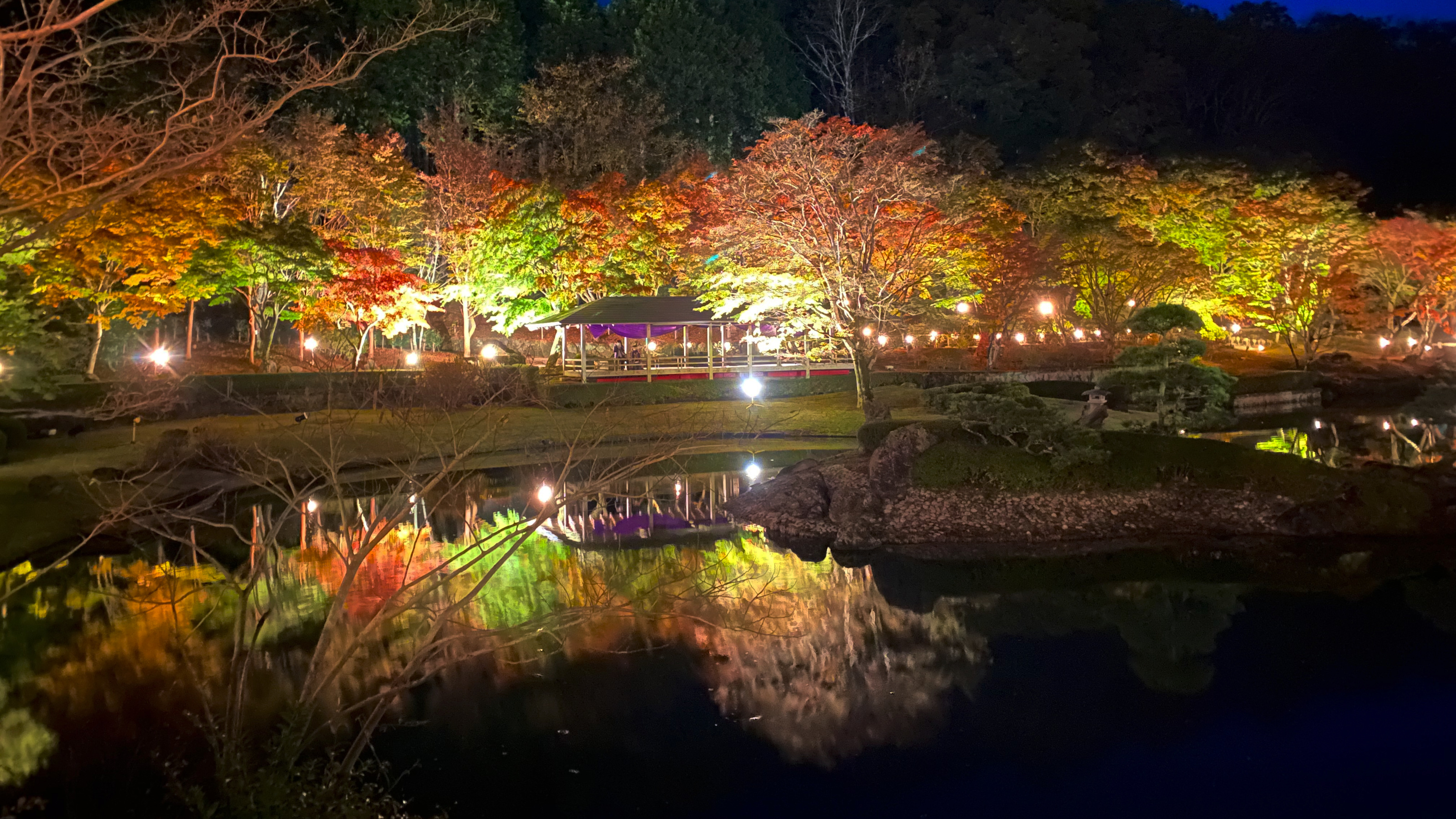 修善寺虹の郷の紅葉ライトアップ