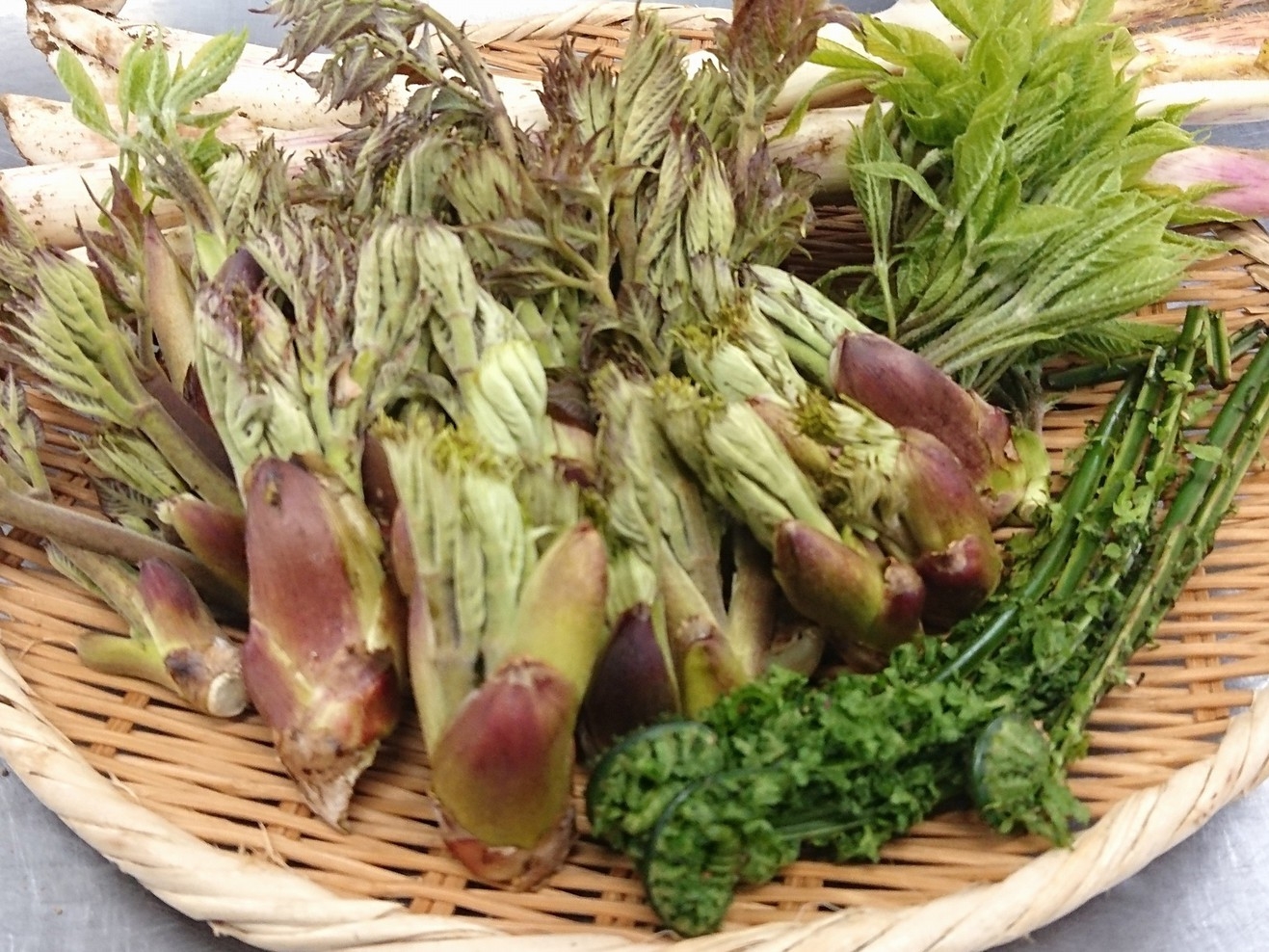【直前割】春限定 ただいまイチオシ＼お肉も食べたい！山菜も食べたい！／信州まるごとハッピーSP!!