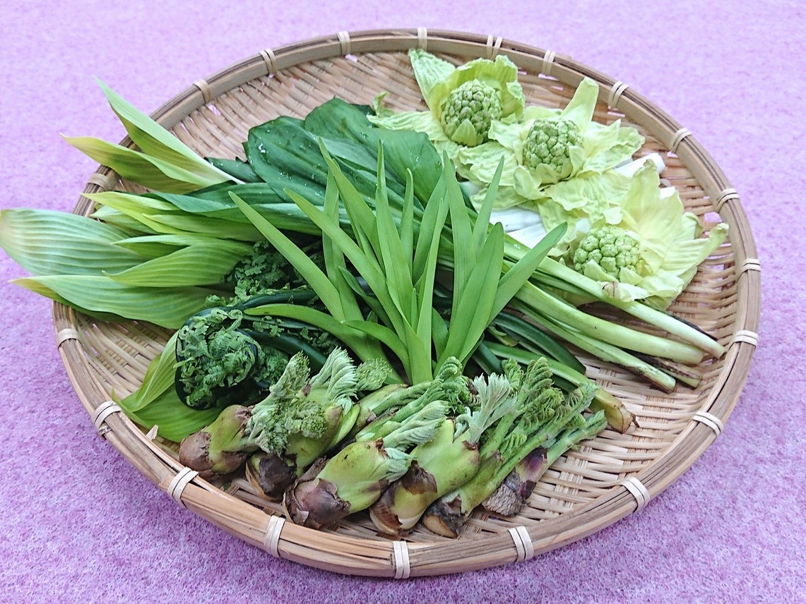 【直前割】5/17(土)只今イチオシ＼お肉も食べたい！山菜も食べたい！／信州まるごとハッピーお肉３倍