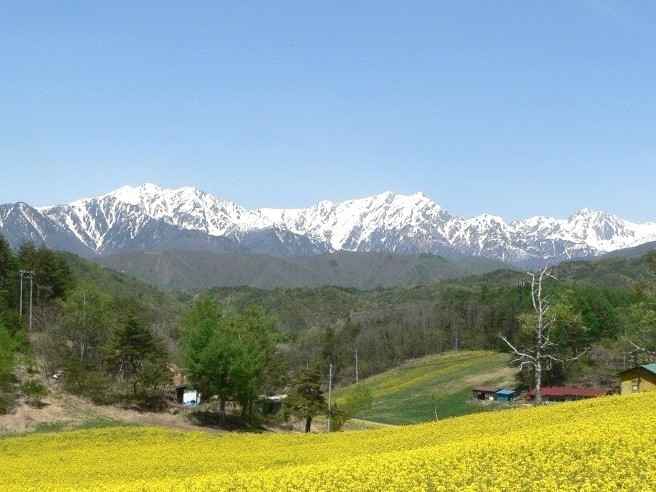 春旅応援 えっ!!この価格＼長野で牛フィレvs信州豚ロース味噌すき／山ご飯 大特価SP!!