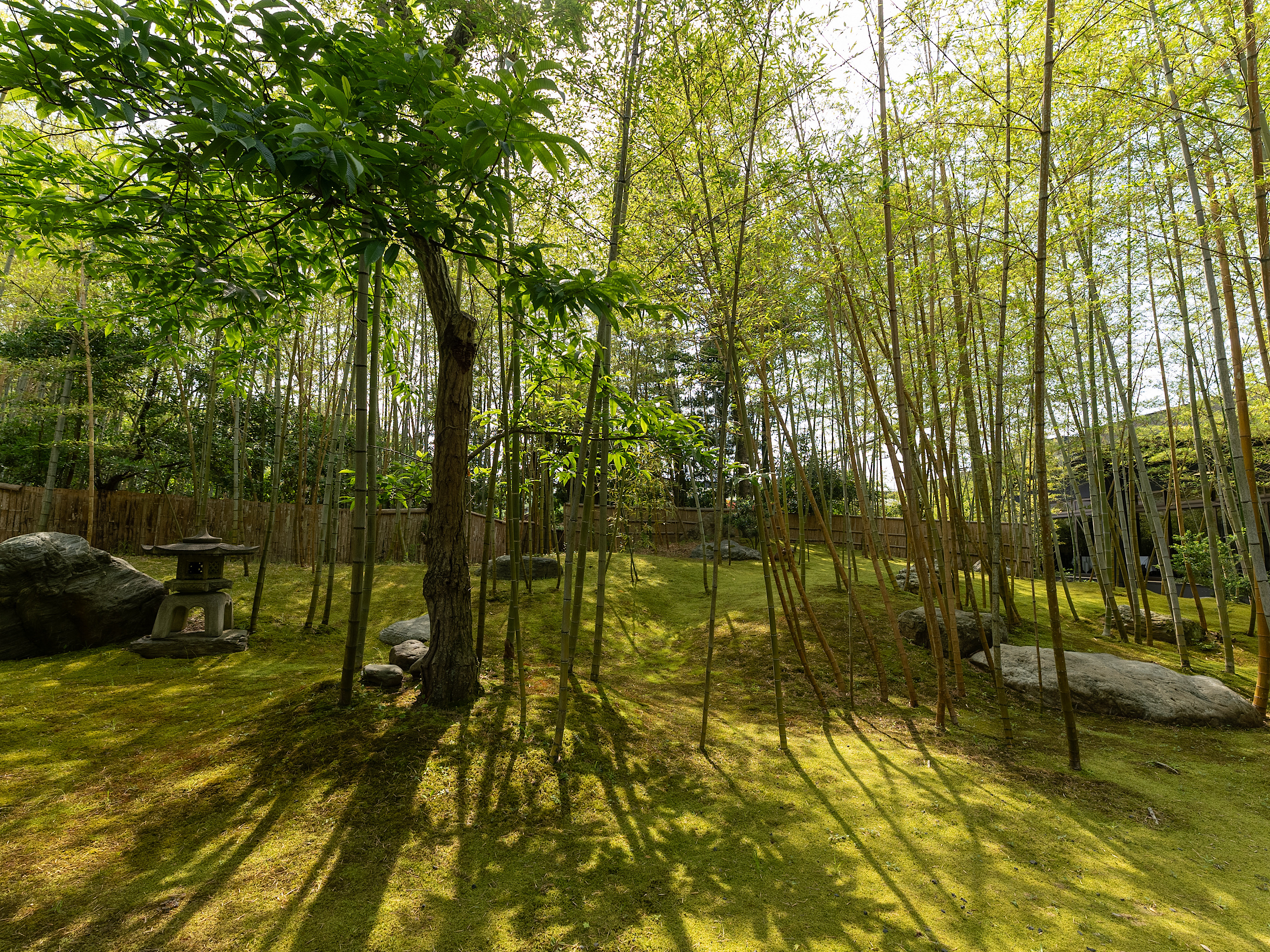 丈が揺れる優雅な庭園