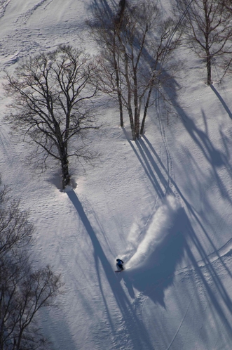 Skier: Owner