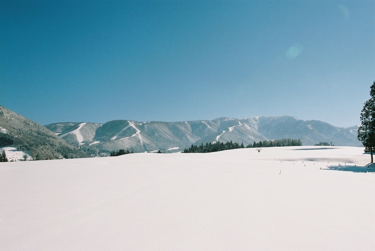 Nozawaonsen Ski resort