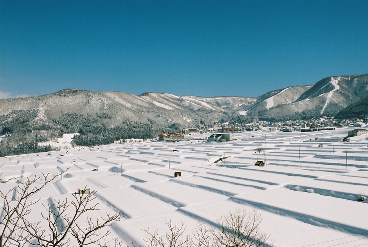 野沢温泉雪景色