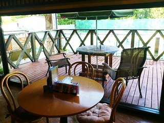 ドッグカフェ☆ステラ☆