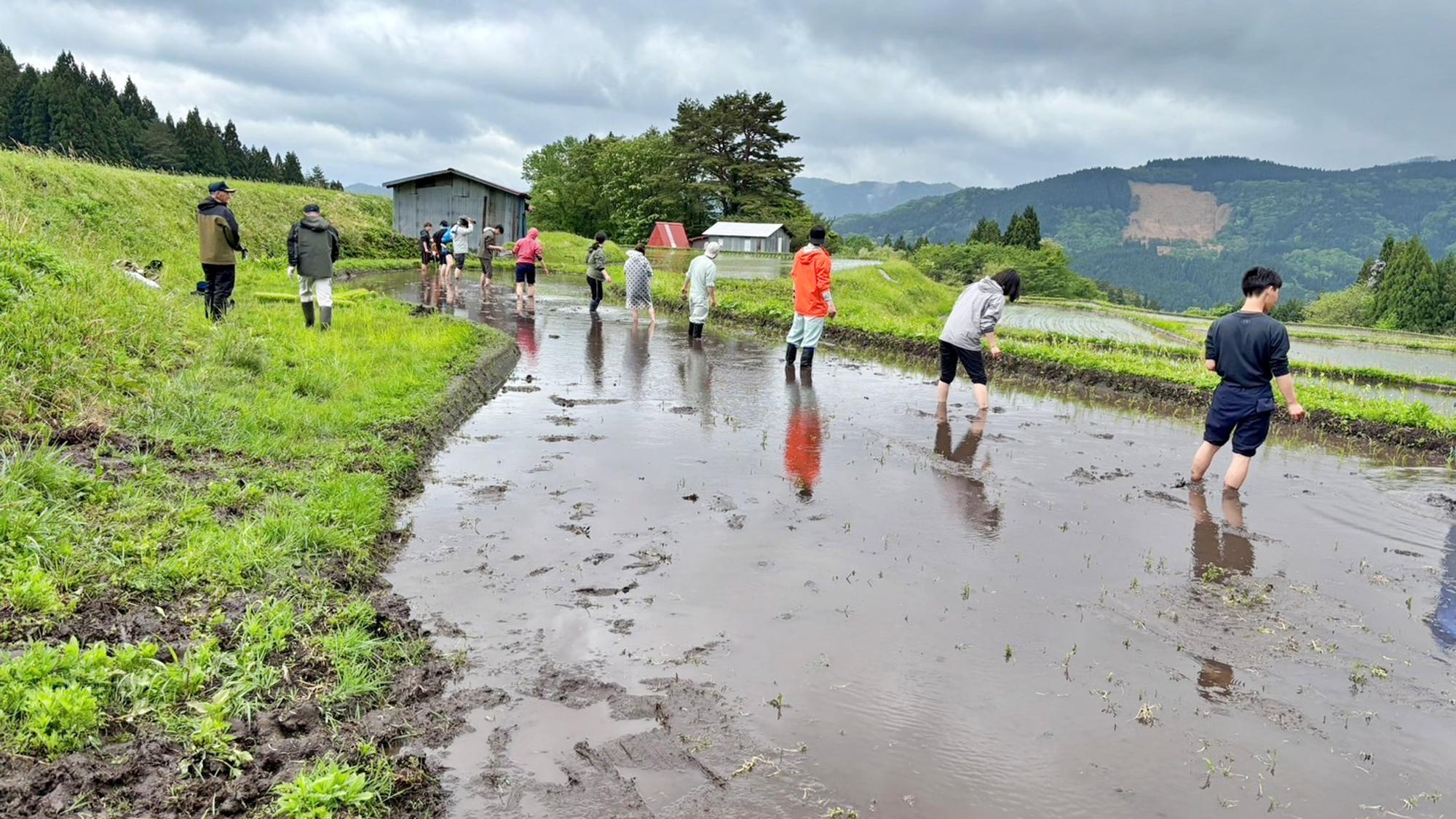 【体験】田植え、秋には美味しいお米ができることを願って！