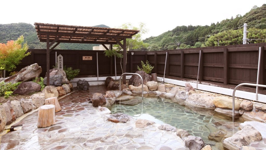 【えひめ夏旅なんよキャンペーン】おさかな館＆ぽっぽ温泉優待特典付★鬼北名物キジ料理と高月温泉♪2食付