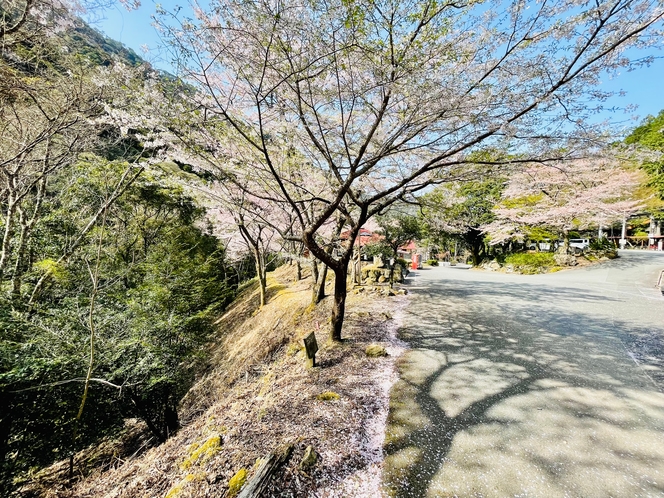 【景観　トレッキングに最適です！】