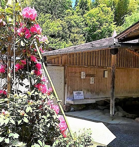 露天風呂風景（初夏）