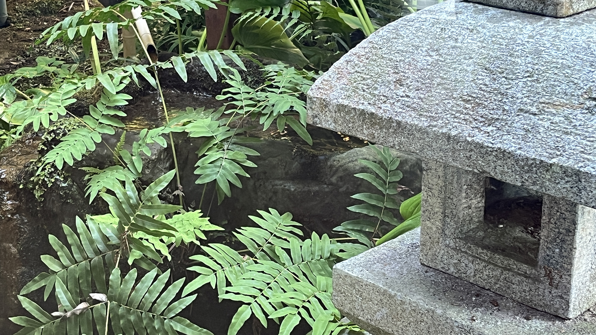 ★【館内イメージ】