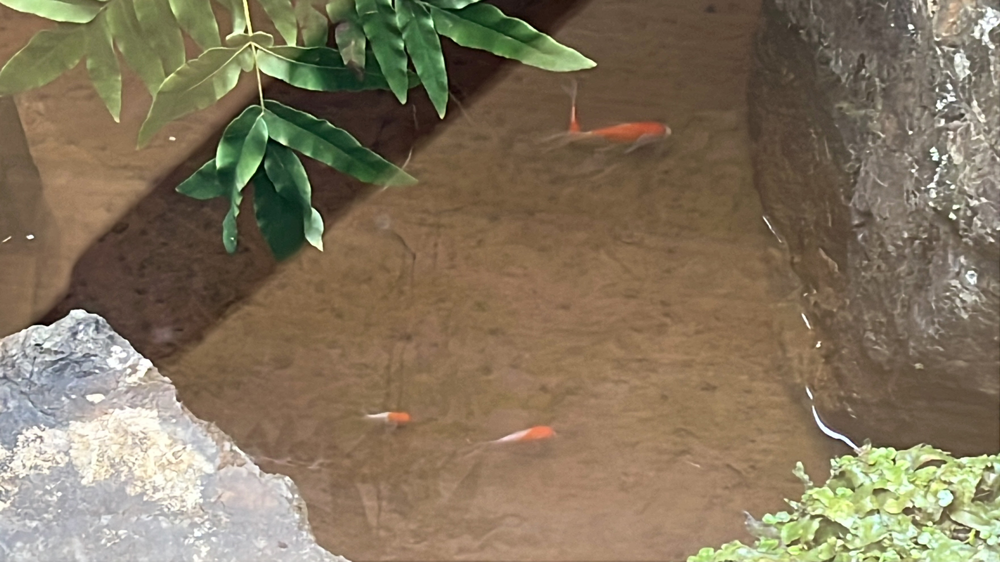 ★【館内イメージ】