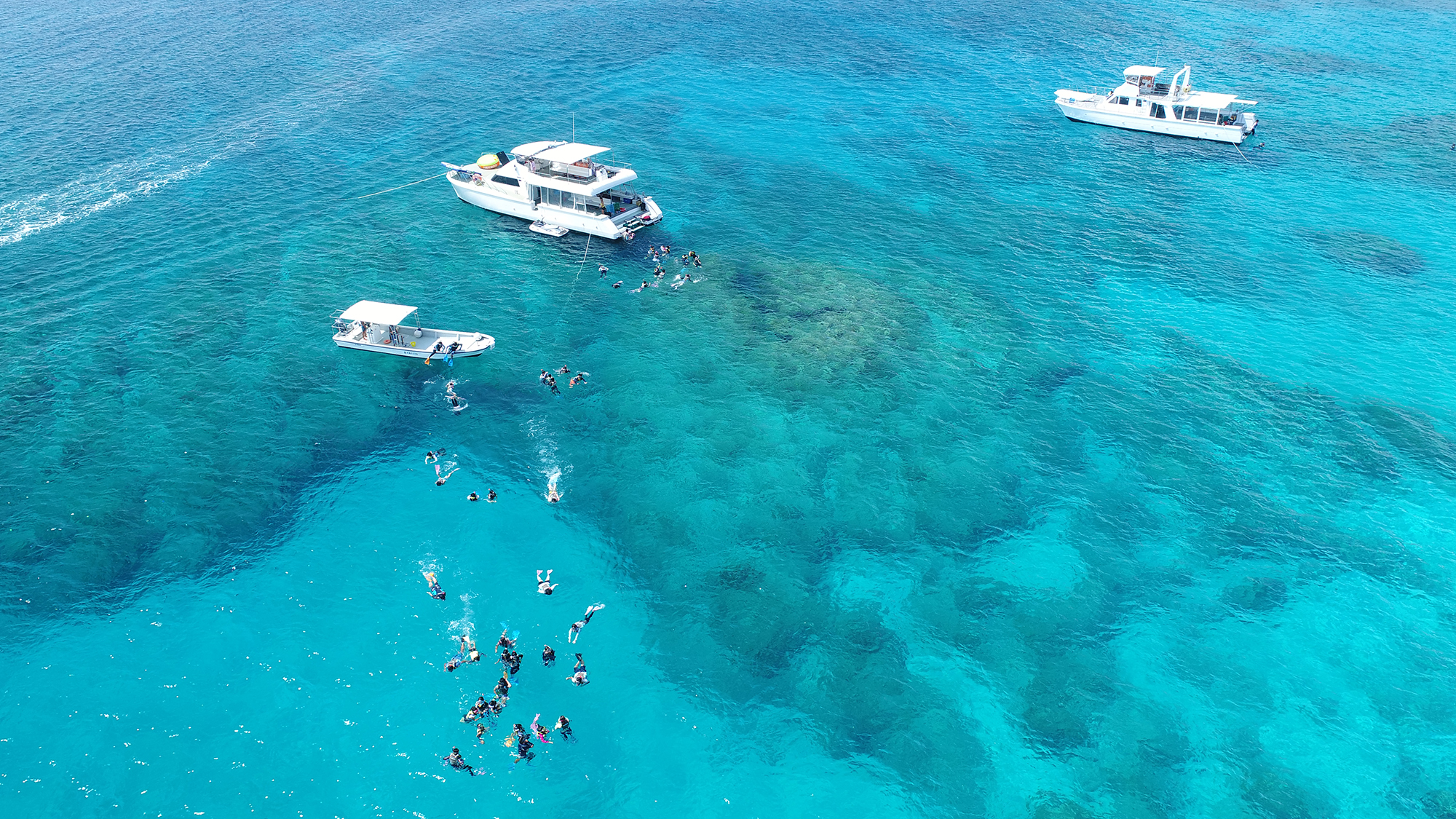 【ダイビング】ケラマブルーと称される青く透き通った慶良間の海