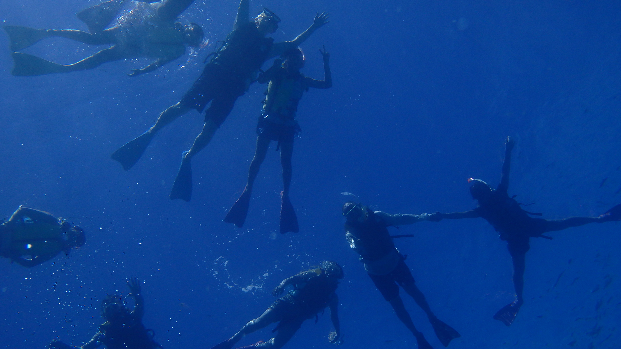 【シュノーケリング】国立公園に指定された慶良間諸島の海を満喫♪