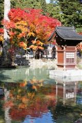 紅葉。当館より徒歩５分　龍泉寺境内