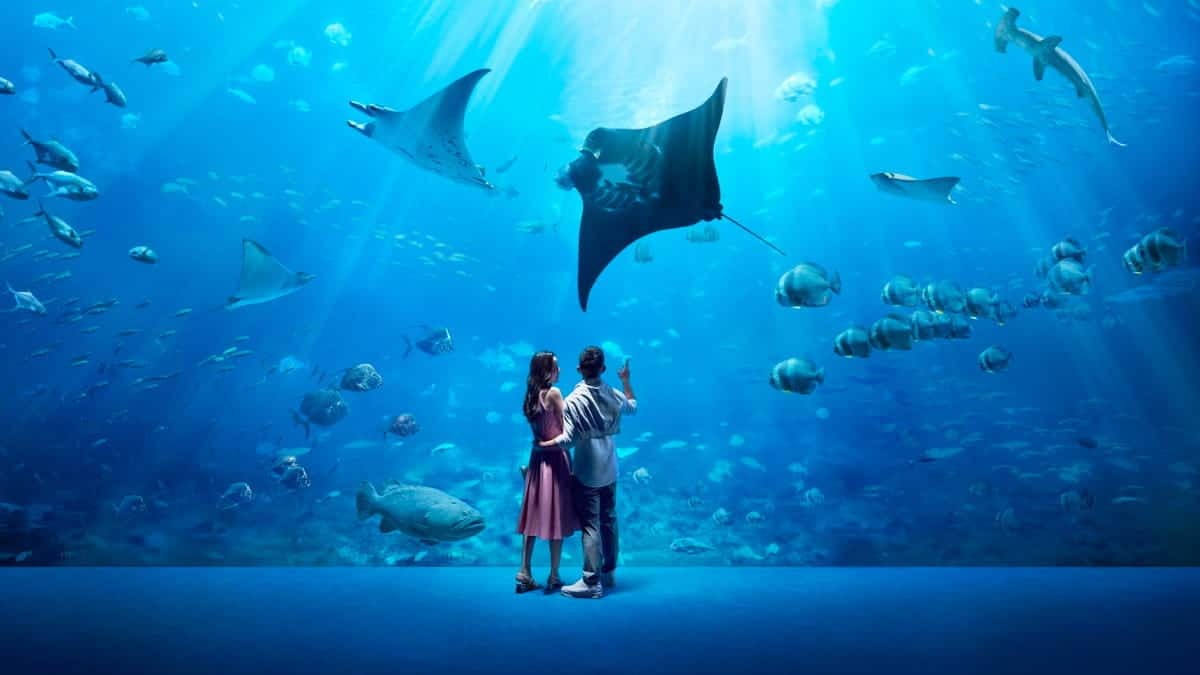 オーシャナリウム