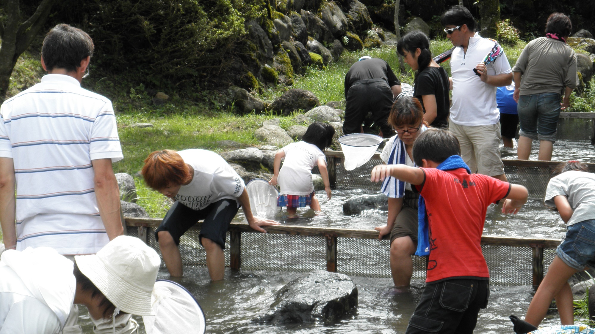 *（夏）魚つかみどり