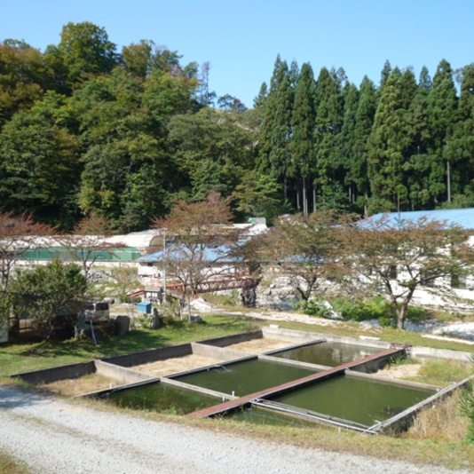 湯の瀬温泉 湯の瀬旅館 設備・アメニティ・基本情報