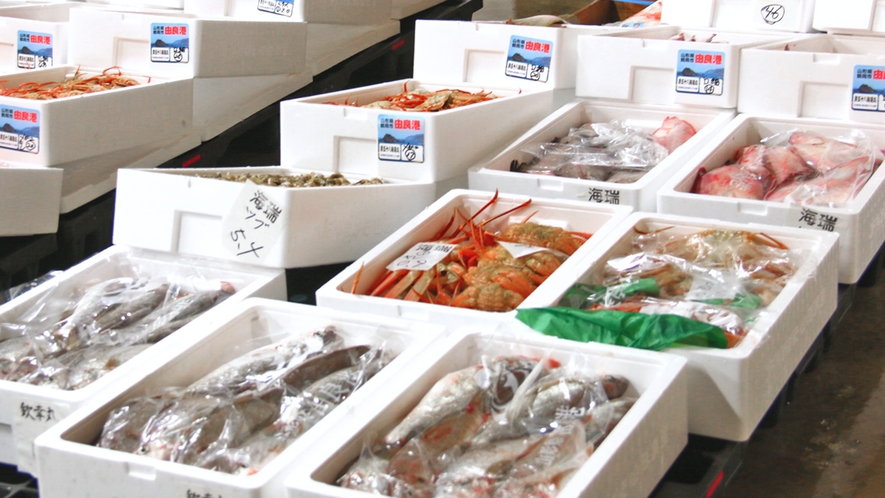 ■当館の魚介類は、由良漁港より直接仕入れているため活きの良い新鮮な海の幸をお楽しみいただけます。