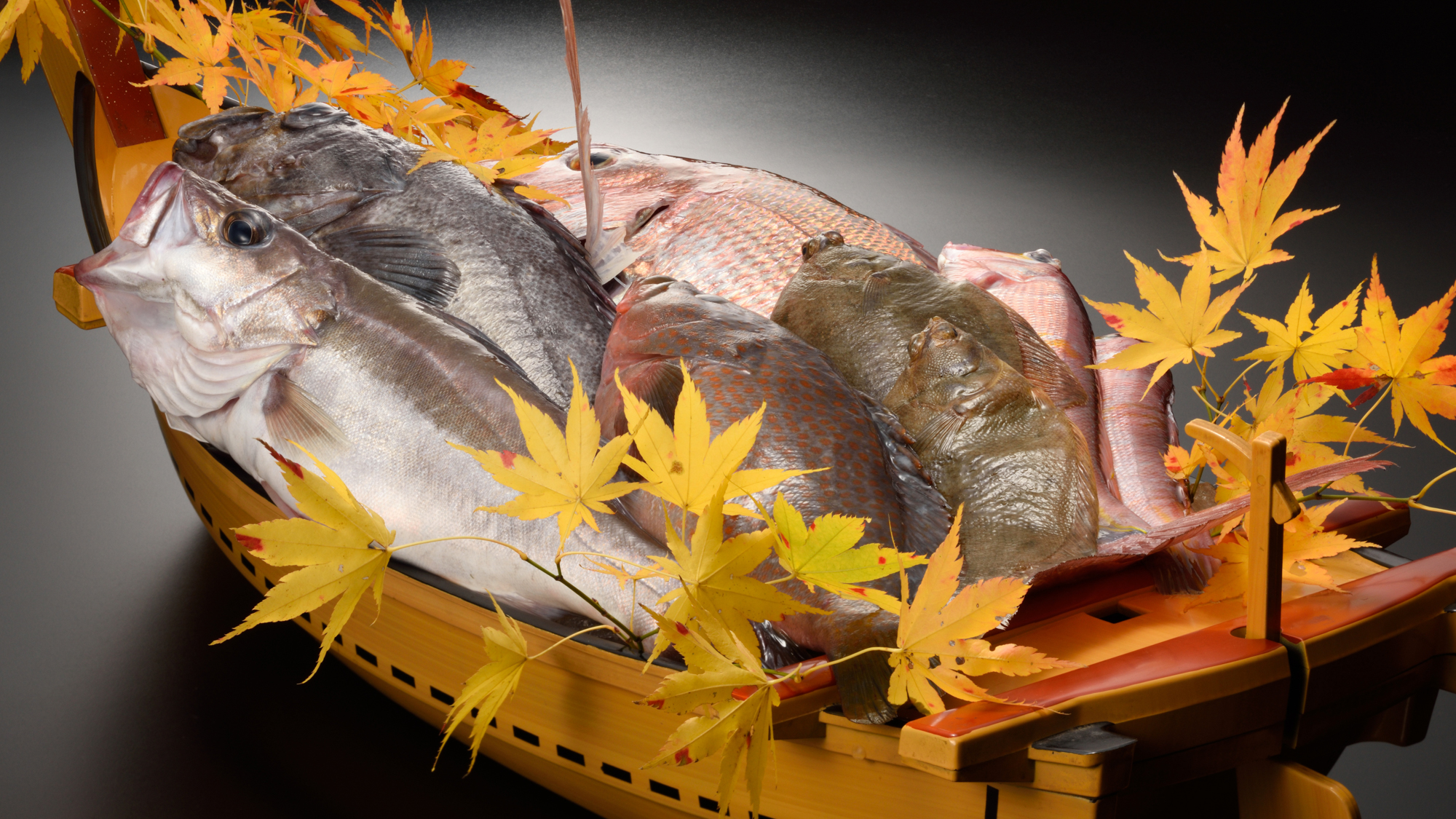 庄内浜の旬満載！