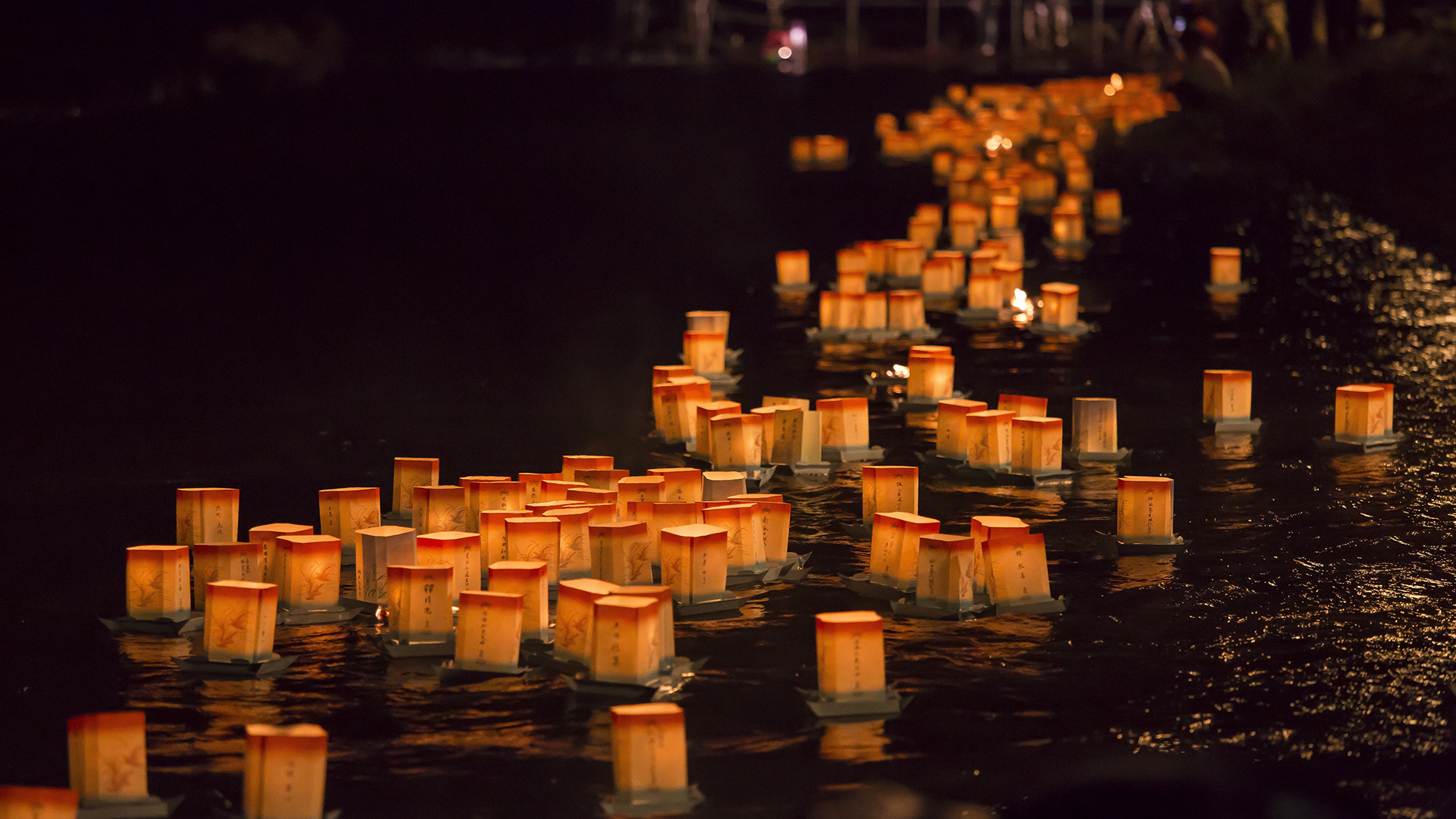 【当館より車で約1時間15分】九頭竜フェスティバル永平寺大燈籠ながし（吉田郡永平寺町）