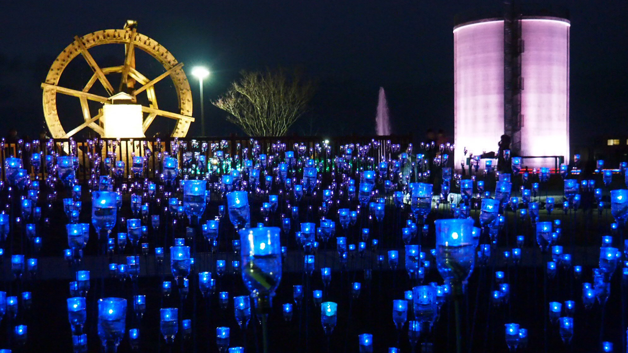【当館より車で約1時間5分】ゆりの里公園　イルミネーション（坂井市）