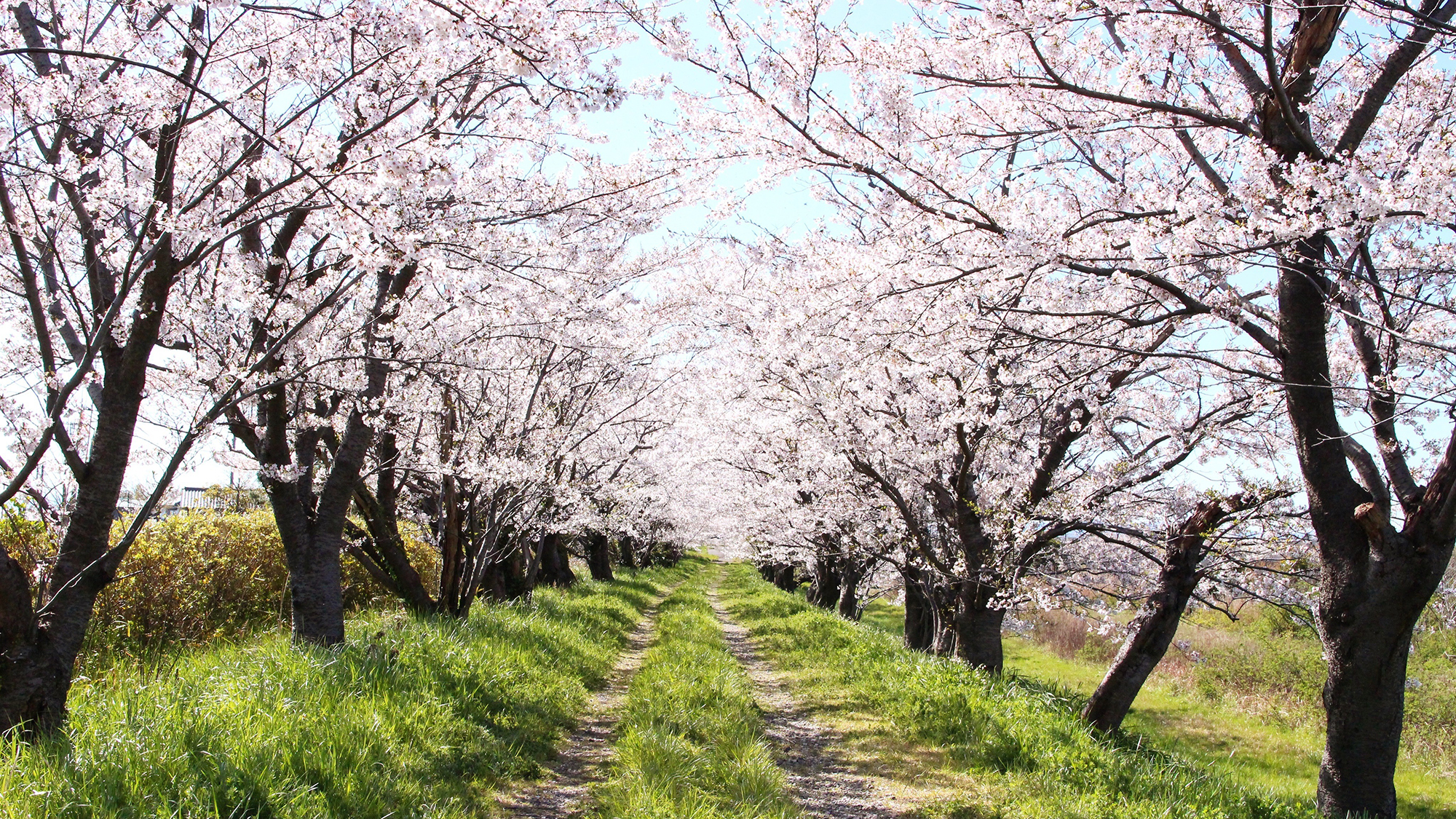 【当館より車で約1時間5分】汐見公園（坂井市）