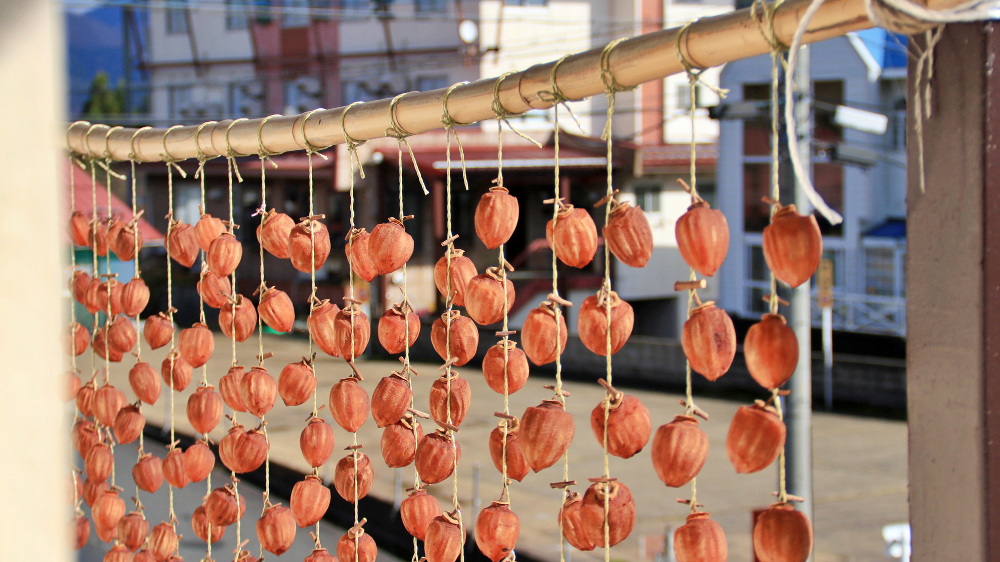 【イメージ】 (1)