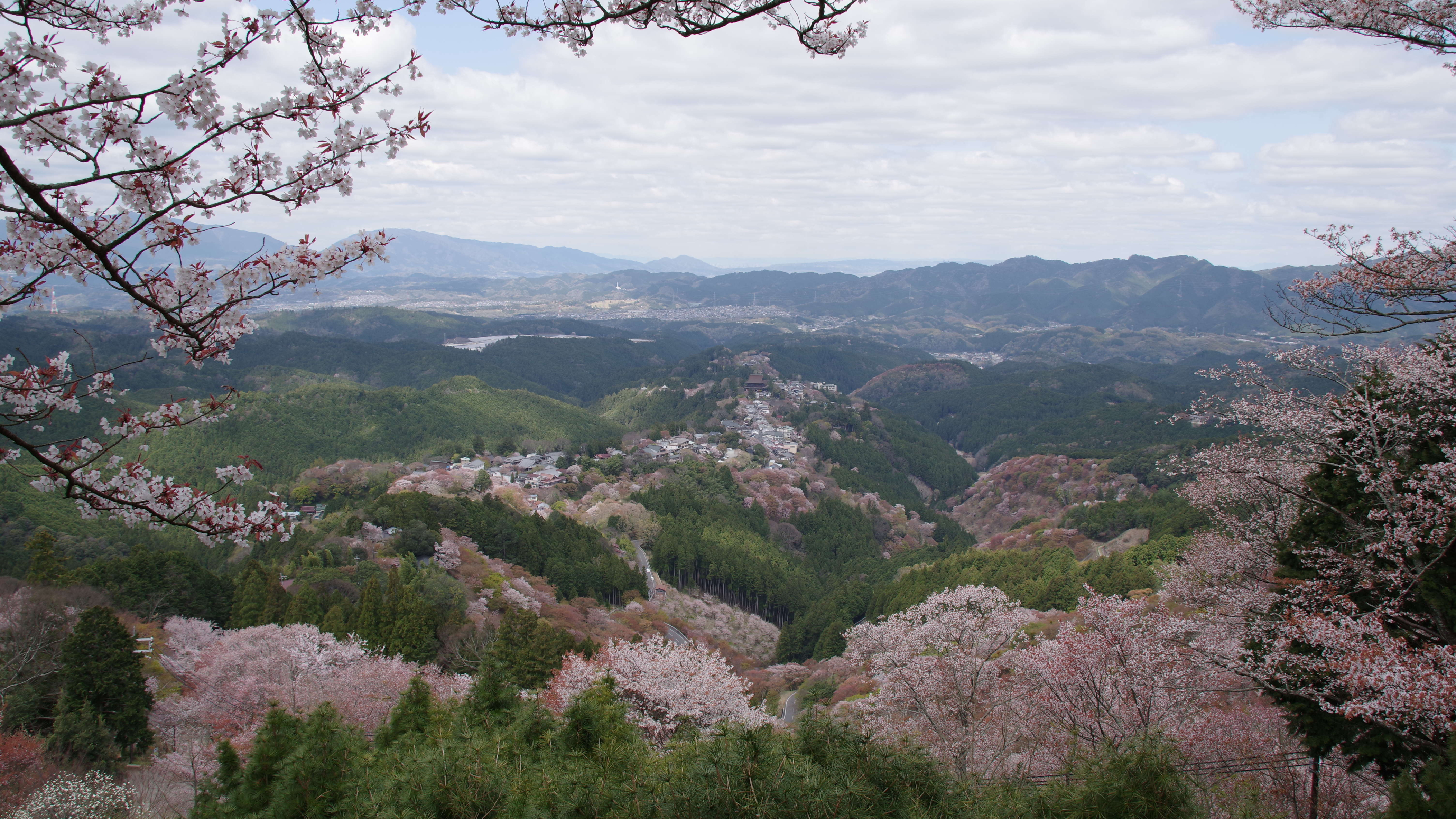 【吉野山】