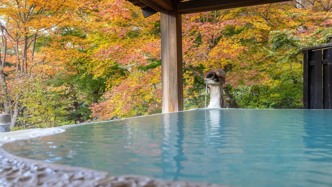 【素泊り】源泉かけ流し◆白樺林に囲まれた名湯・白骨の湯を堪能＜お食事なし＞《貸切露天風呂30分無料》