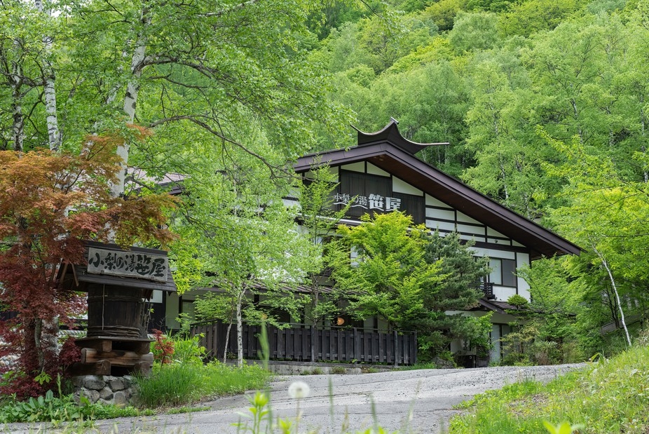 【スタンダード】白樺林に囲まれた名湯白骨の湯と野趣あふれる創作料理を心ゆくまで《貸切露天風呂無料》
