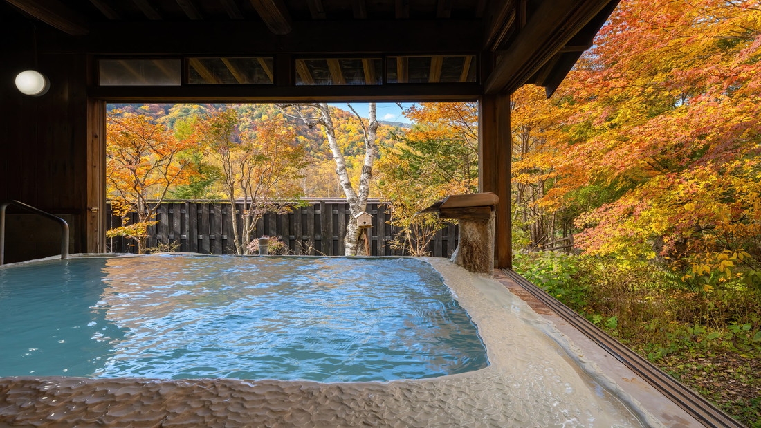 【秋の贅沢】松茸尽くし×秋景色豊かな名湯白骨の湯！松茸3品×野趣あふれる創作料理を味わう秋の饗宴