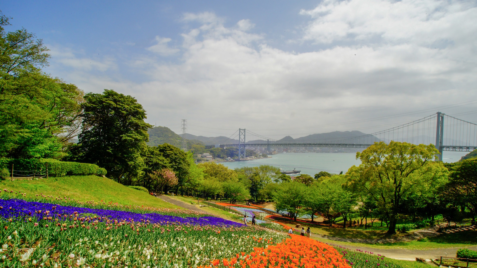 【トルコチューリップ園】関門海峡をチューリップと桜が彩ります。当館より徒歩約7分。