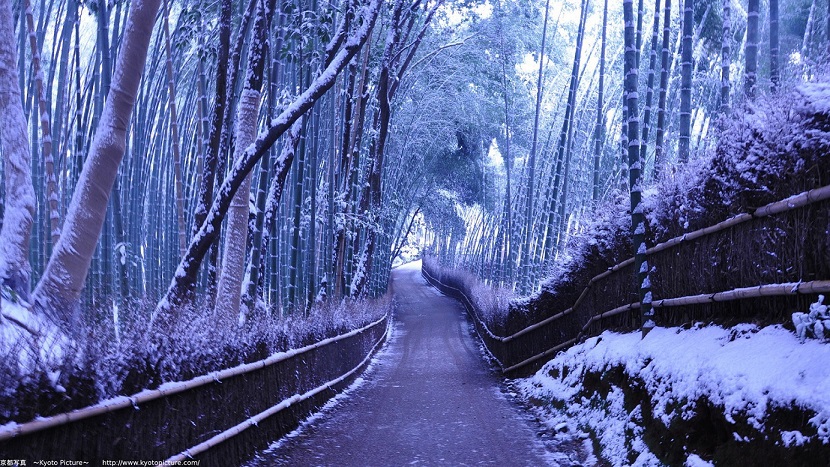 【平日限定】〜連泊・朝食付き〜京の旅は冬が最高！