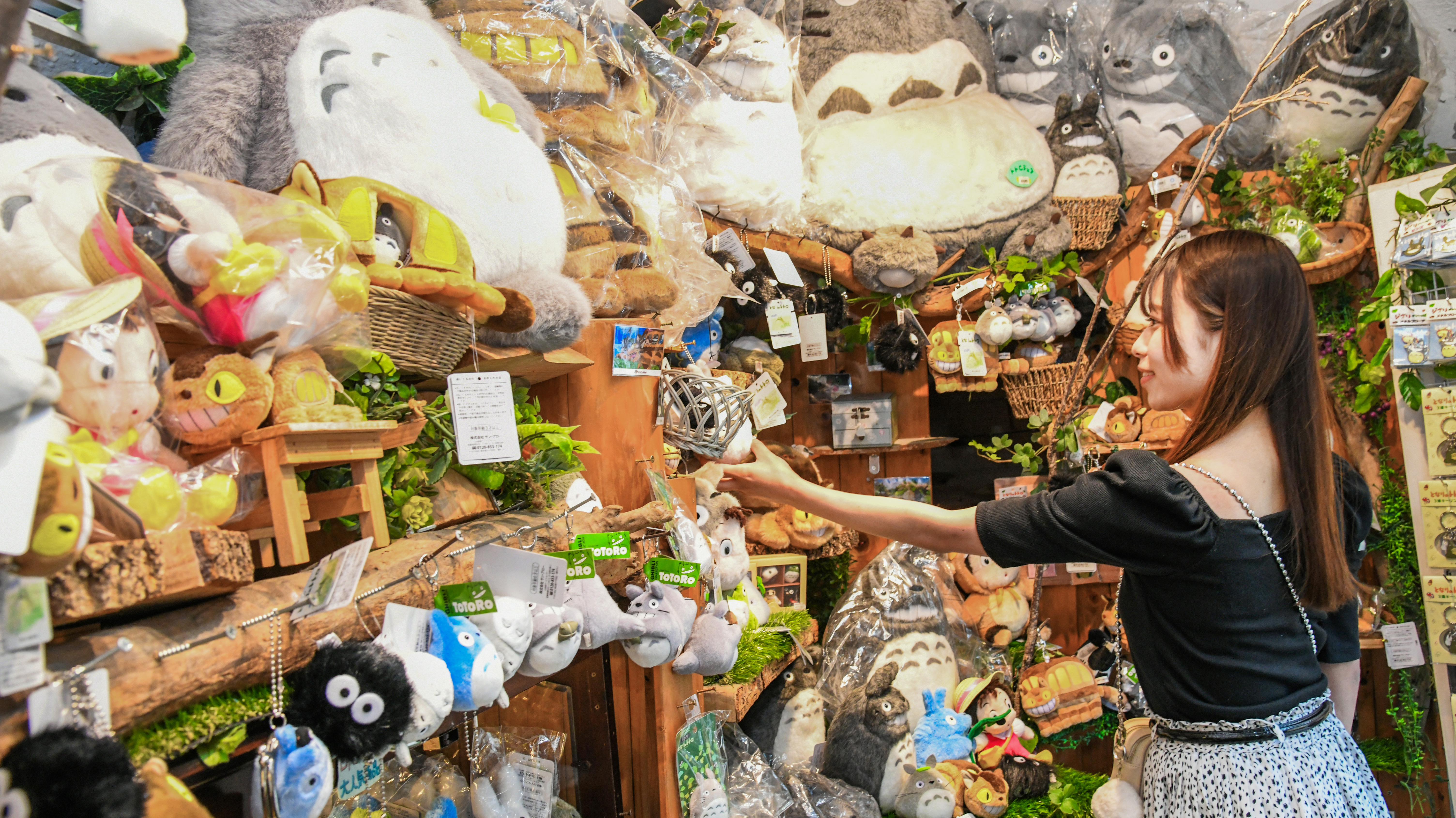 TOTORO SHOP