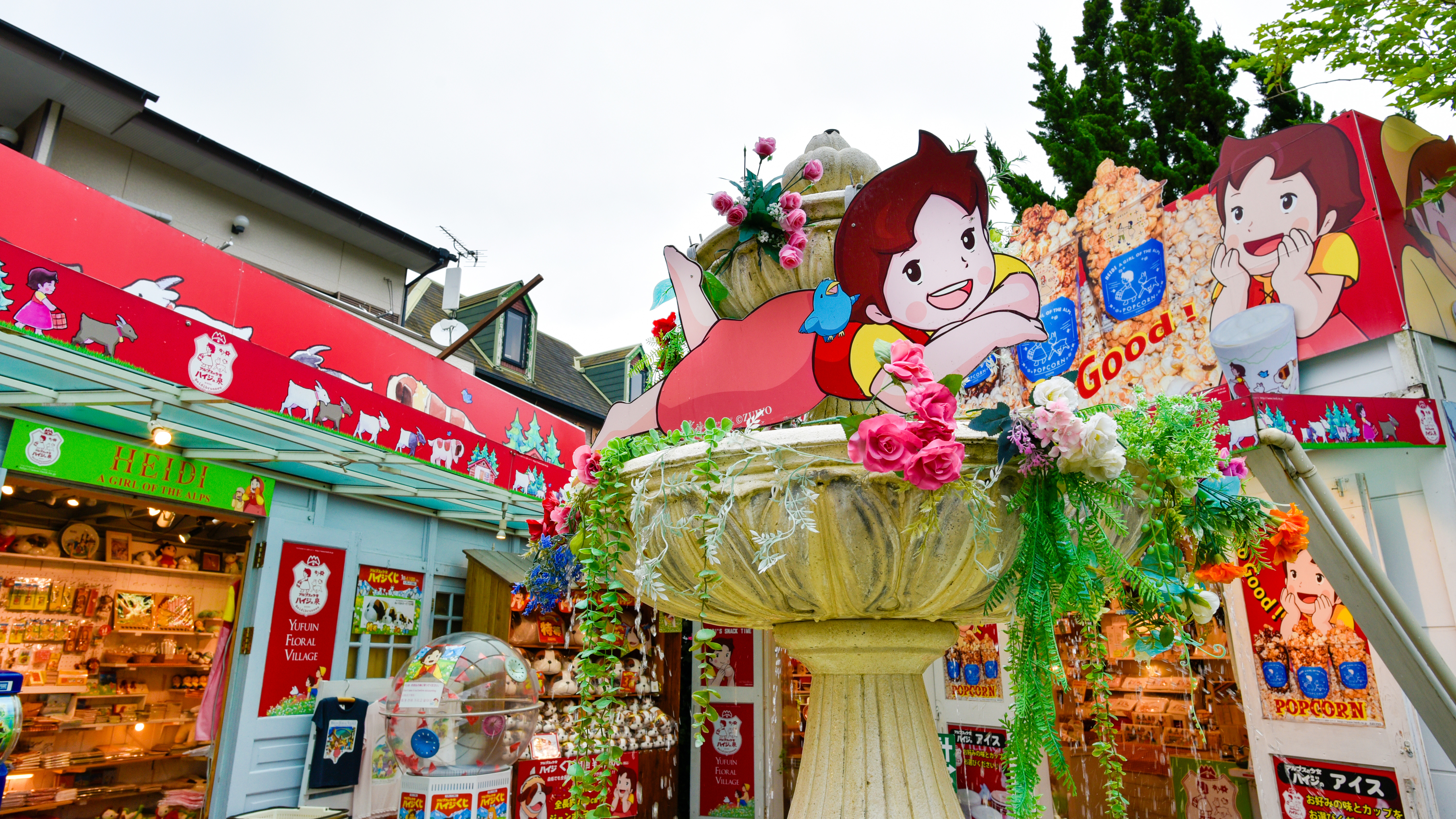 HEIDI SHOP