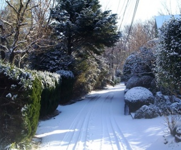 ミヨー近くの雪景色