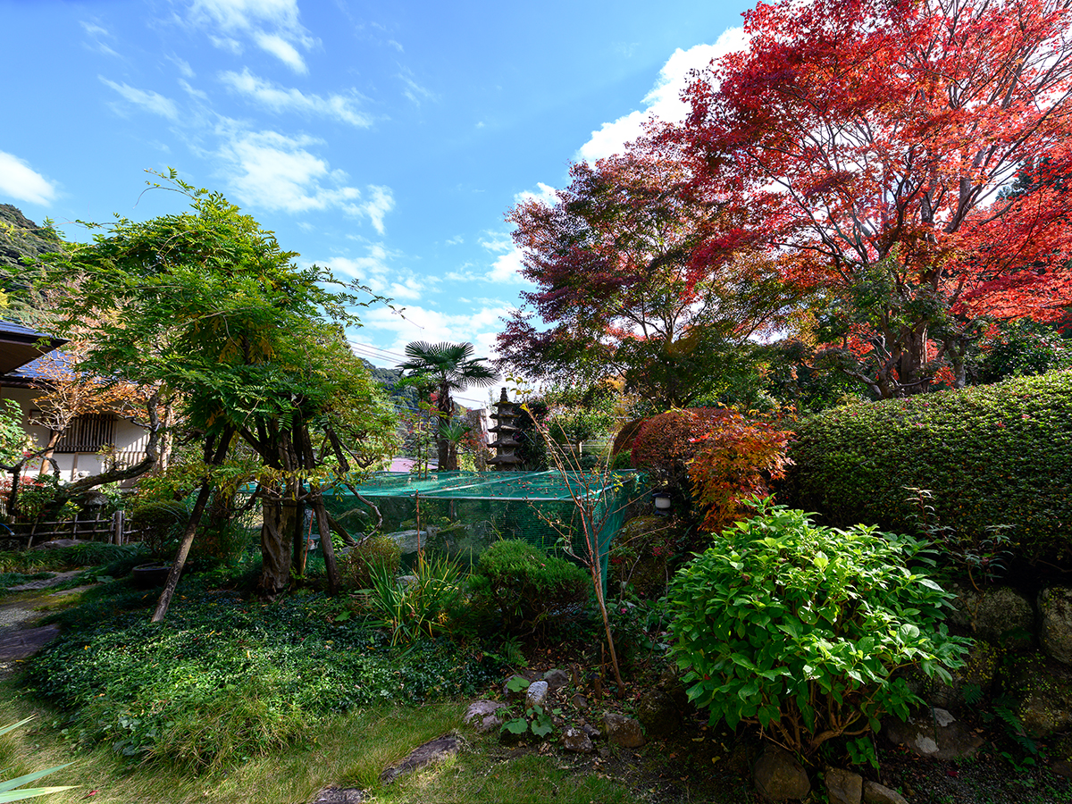 *【庭園】四季折々の彩りに包まれる癒しの日本庭園。