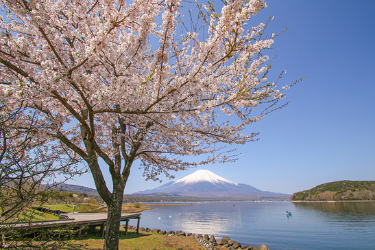 写真4