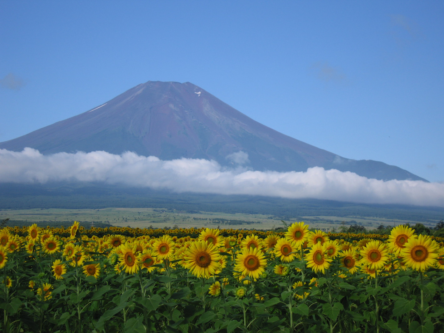 写真6