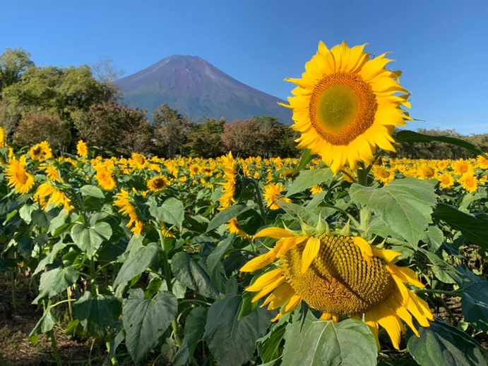 【2連泊以上でお得】気軽な素泊まりプラン★ビジネス利用も歓迎！