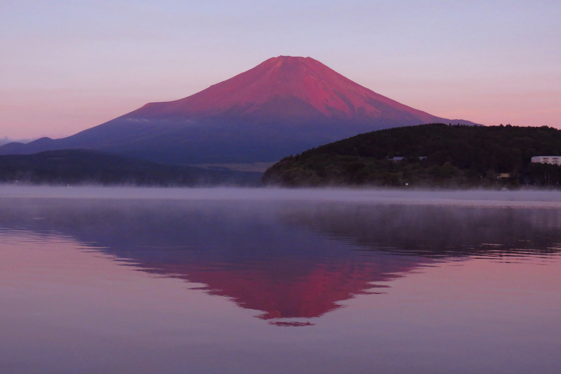 写真7