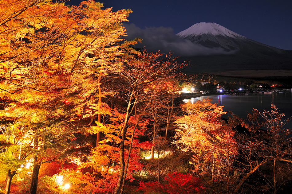 紅葉まつりﾗｲﾄｱｯﾌﾟ富士山
