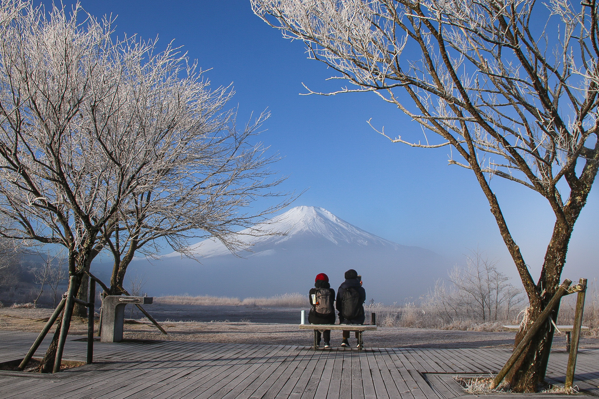 山中湖霧氷1