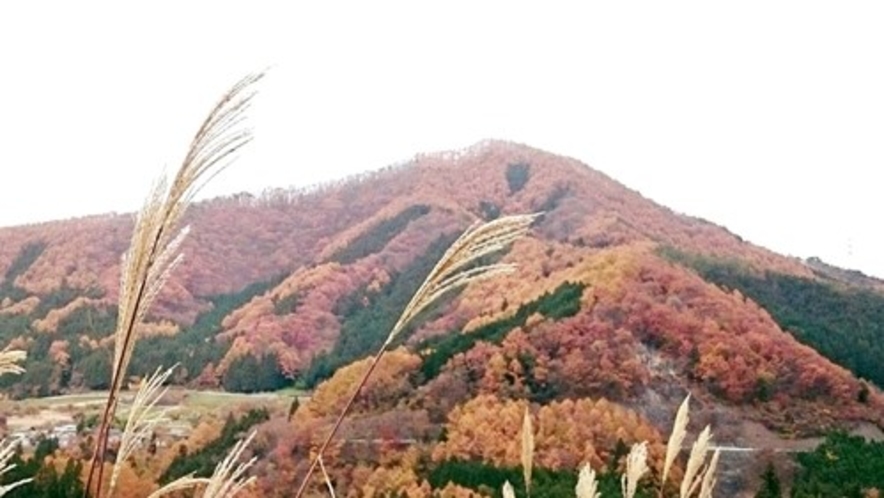 信州高山村の紅葉した里山の中、ドライブをお愉しみください