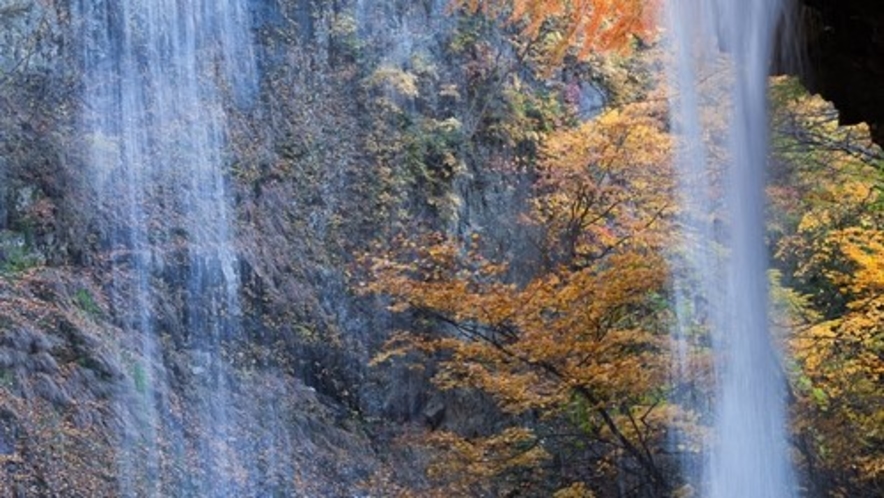 「秋の雷滝」紅葉の木々に囲まれた滝をご覧ください