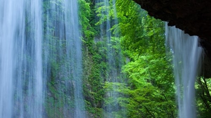 「初夏の雷滝」新緑の中、マイナスイオンで癒されてください