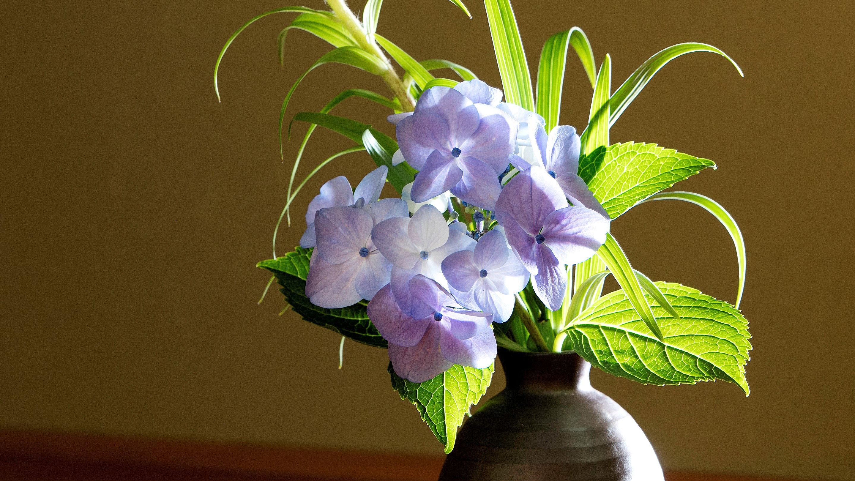 季節のお花