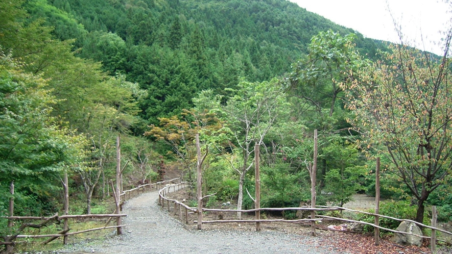 *露天風呂へと続く道／見渡す限りの大自然。お散歩がてら歩くのも楽しい。