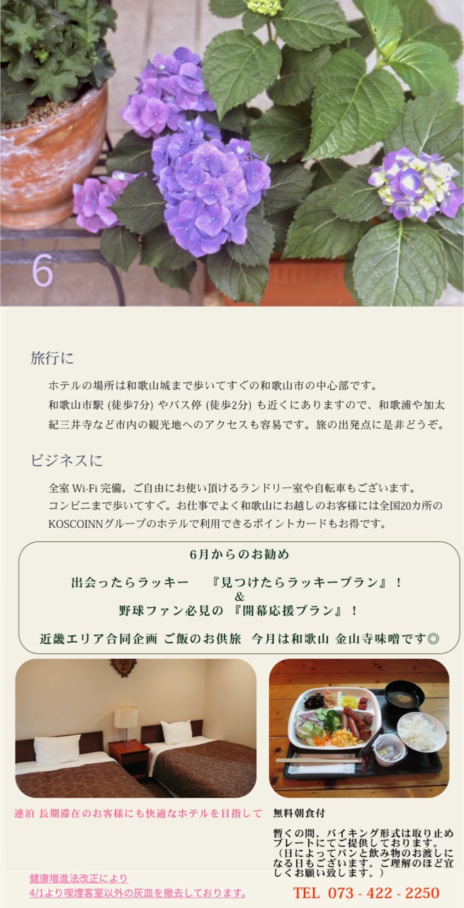 写真1