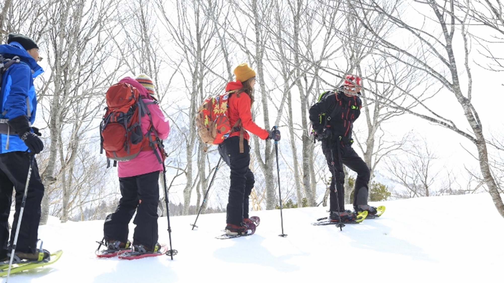 *＜スノートレッキング＞スノーシューをはいて雪原散歩（イメージ）